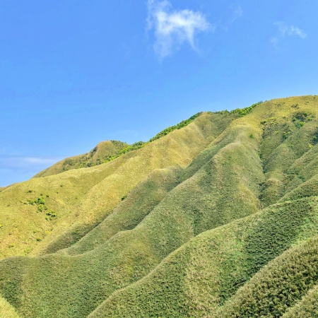 抹茶山（聖母登山步道）
